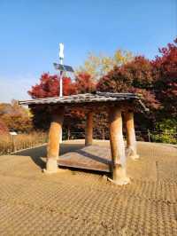 ⭐서울 올림픽공원 하루 코스 – 거대한 엄지상 구경하고, 가을 댑싸리 걷고, 청와옥에서 마무리!