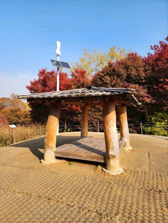 ⭐서울 올림픽공원 하루 코스 – 거대한 엄지상 구경하고, 가을 댑싸리 걷고, 청와옥에서 마무리!