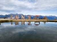 Mountain Magic Alps✨