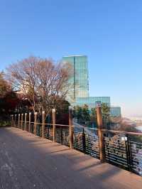 워커힐을 산챡하며