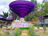 Chihu Coffee Culture Park