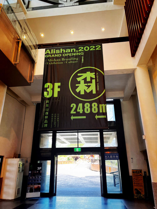 Alishan Forest Art Gallery – A Calm Cultural Stop at the Bus Transport Hub