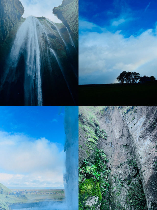 Northern Lights Tripcom✨ Northern Lights Tripcom✨