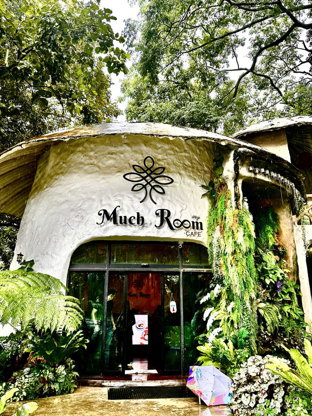 Rainforest Escape🌴 Rainforest Escape🌴