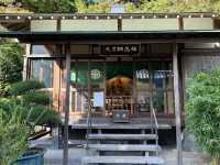 🌿 長谷寺:鎌倉的心靈避風港