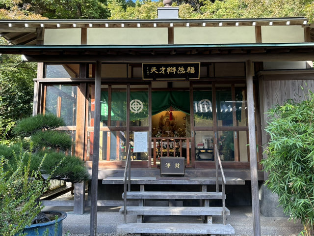 🌿 長谷寺:鎌倉的心靈避風港 🌿 長谷寺:鎌倉的心靈避風港