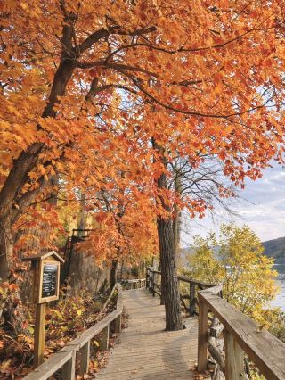 남이섬 · 11월의 마법