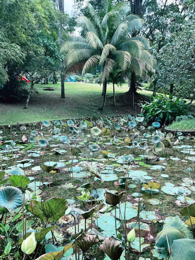 “Perdana Botanical Garden KL: Must-Visit Nature Escape”