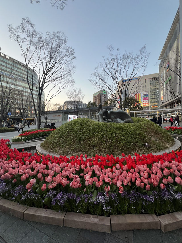 【博多】博多駅周辺のオススメカフェ5選！🇯🇵