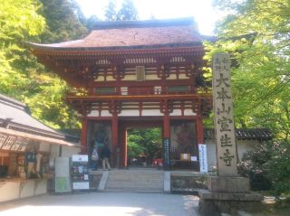 新綠與石楠花點綴的「女人高野」。