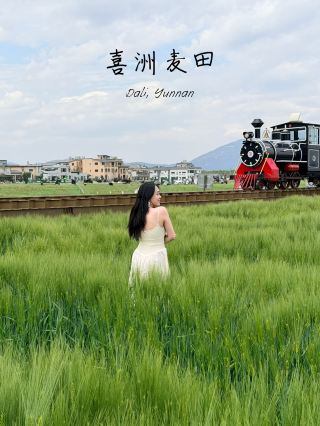 在西州麥天悠閒小憩：雲南美食與輕鬆氛圍