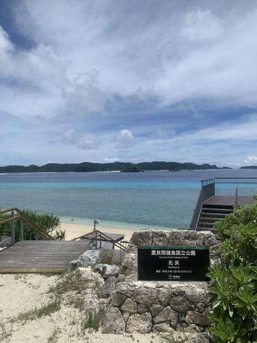 沖縄・座間味島：那覇から離れた離島、ウミガメと一緒に泳げる楽園