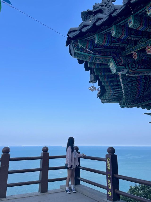 바다 절벽 위 아름다운 사찰 여수 향일암✨ 