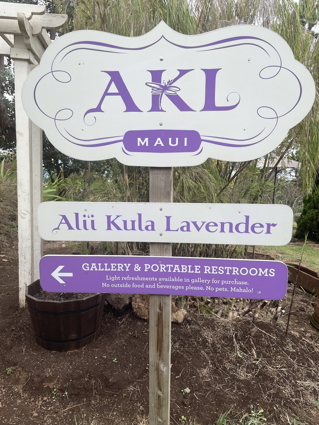 Discover the Serenity of Ali‘i Kula Lavender Farm – Maui’s Hidden Gem