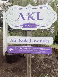 Discover the Serenity of Ali‘i Kula Lavender Farm – Maui’s Hidden Gem