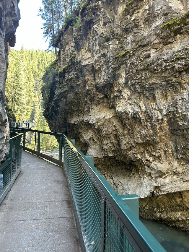 🇨🇦バンフの人気トレイル🏞️【ジョンストンキャニオン】で滝と渓谷を満喫