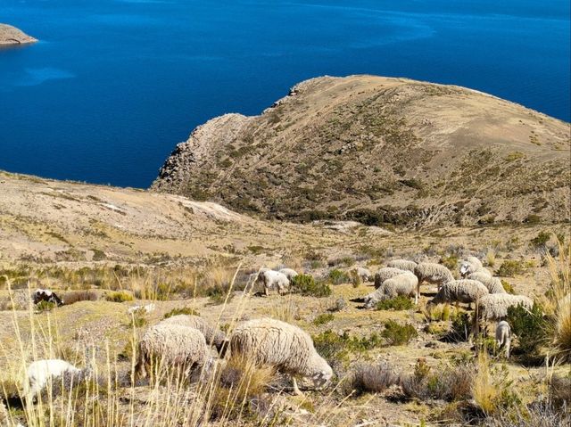 足を伸ばして太陽の島 (Isle del Sol ) 絶景を見に