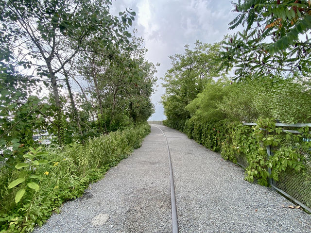 🚶🏻‍♂️漫步於紐約高架公園✨ 體驗城市與自然的完美交融✨🏞️