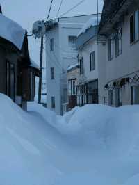 ❄️ Otaru in Winter | A Snow-Covered Fairytale