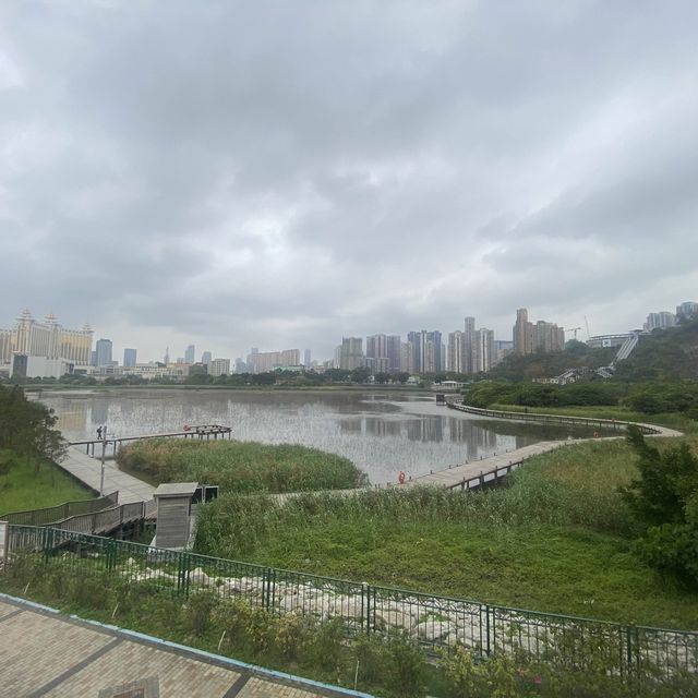 澳門龍環葡韻濕地生態區 - 探索大自然的寶藏