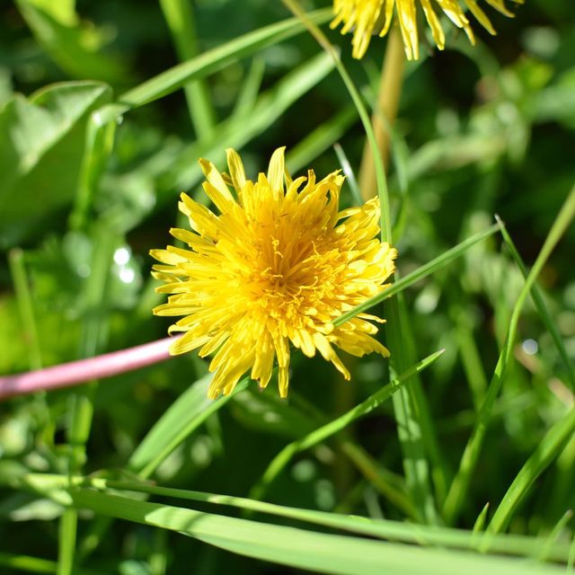 Spring Time in Greifswald… Germany 