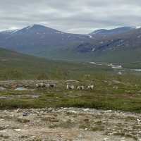 Kebnekaise, the highest peak of Sweden!