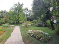 Bucharest Botanical Garden 🌺🌸🌼