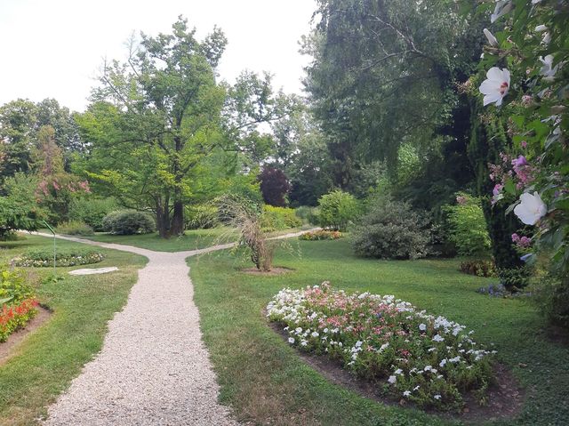 Bucharest Botanical Garden 🌺🌸🌼