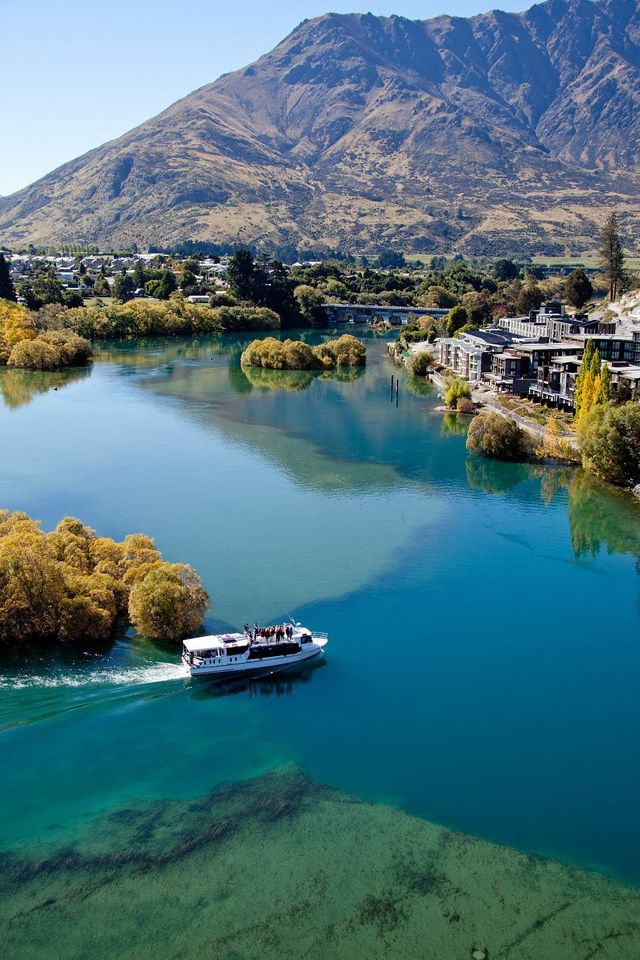 Adrenaline Rush in Queenstown