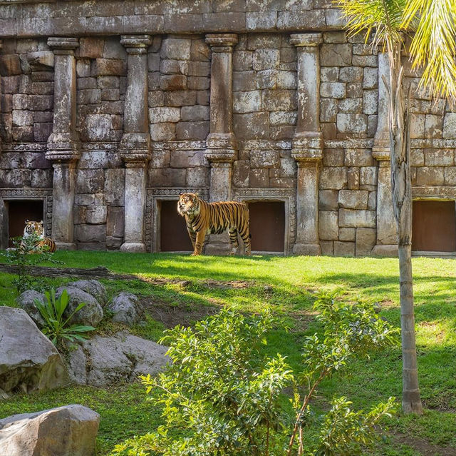 Bioparc Fuengirola 🦒
