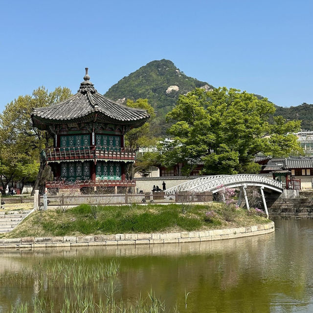 Gyeongbokgung Palace 🇰🇷