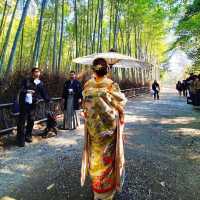 《嵐山竹林小徑》🎋京都不能錯過的景點🎋