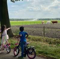 "Eindhoven: A Foreigner’s Paradise in the Netherlands"