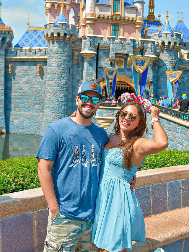  Disneyland Park