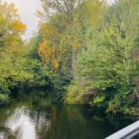 Serenity Stroll: Exploring Regent’s Park