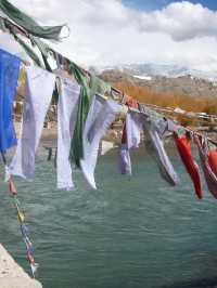 Spituk Monastery: A Spiritual Retreat Near Leh