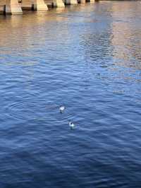 One day trip in Stockholm 