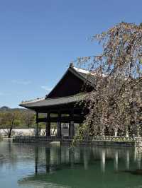 A Step Back in Time at Gyeongbokgung Palace