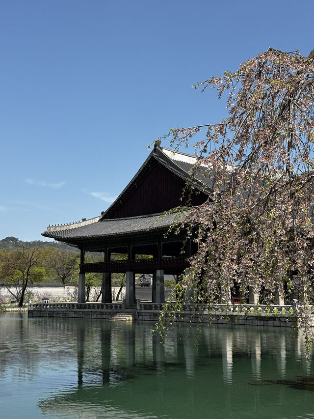 A Step Back in Time at Gyeongbokgung Palace
