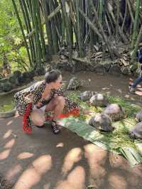 Nosy Be - hidden gem of Madagascar 