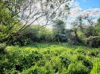 A Perfect Summer Day at Birmingham Airport Viewing Area – A Hidden Gem in Sheldon Country Park