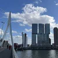 鹿特丹的21世紀新地標：漫步Erasmus天鵝橋