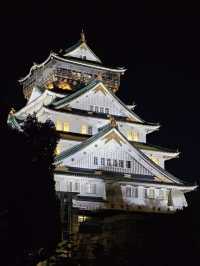 🏰 Osaka Castle: What to Know Before You Go