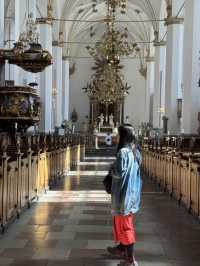 Want to travel to Copenhagen but on a tight budget? 