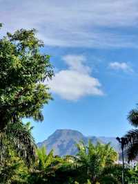 The Views of Arona: Panoramas That Take Your Breath Away 🌄🌴