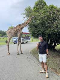 🦁🌿 Vigan Safari Adventure – Where the Wild Roars in the North! 🌿🦓