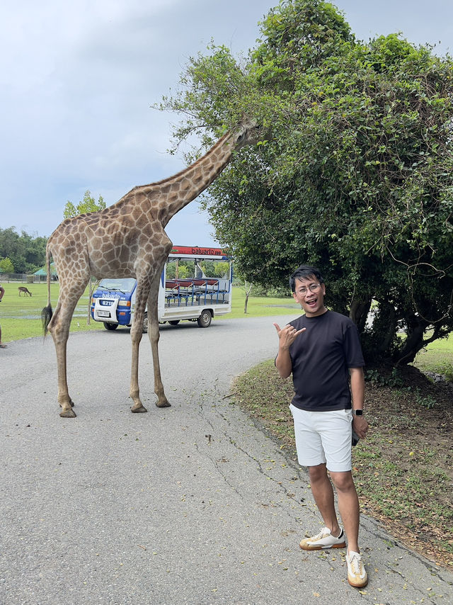 🦁🌿 Vigan Safari Adventure – Where the Wild Roars in the North! 🌿🦓