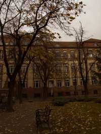 ✈️ Discovering Timișoara: The Cultural Capital of Western Romania