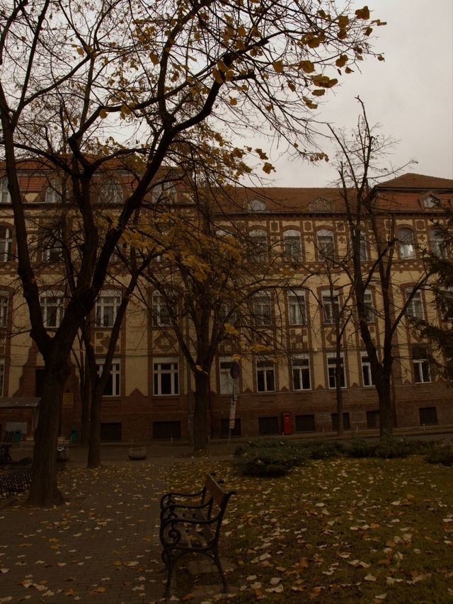 ✈️ Discovering Timișoara: The Cultural Capital of Western Romania