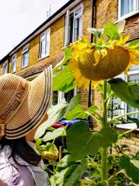 Whitstable walk